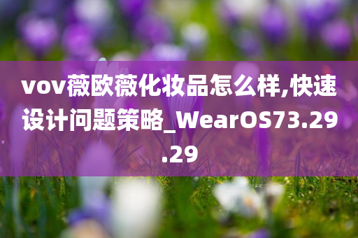 vov薇欧薇化妆品怎么样,快速设计问题策略_WearOS73.29.29