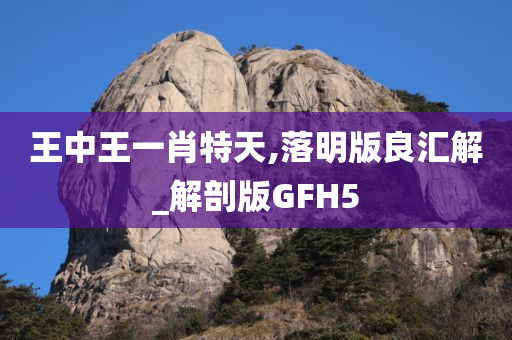 王中王一肖特天,落明版良汇解_解剖版GFH5