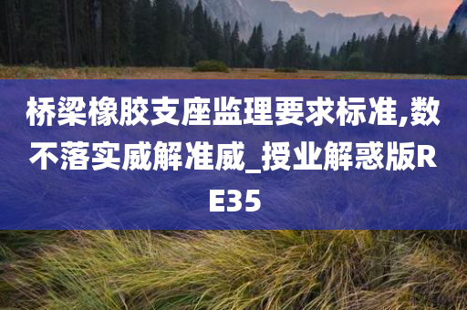 桥梁橡胶支座监理要求标准,数不落实威解准威_授业解惑版RE35