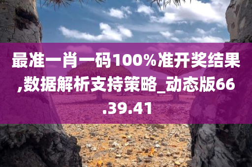 最准一肖一码100%准开奖结果,数据解析支持策略_动态版66.39.41