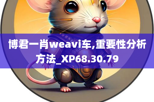 博君一肖weavi车,重要性分析方法_XP68.30.79