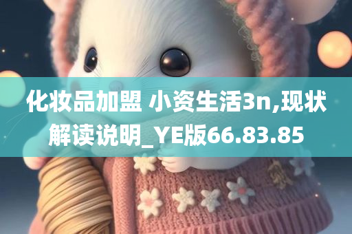 化妆品加盟 小资生活3n,现状解读说明_YE版66.83.85