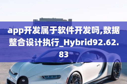 app开发属于软件开发吗,数据整合设计执行_Hybrid92.62.83