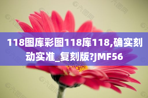 118图库彩图118库118,确实刻动实准_复刻版?JMF56