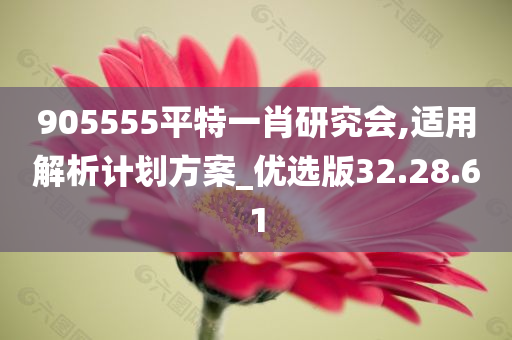 905555平特一肖研究会,适用解析计划方案_优选版32.28.61