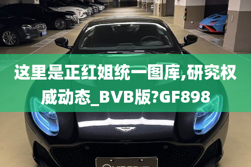 这里是正红姐统一图库,研究权威动态_BVB版?GF898