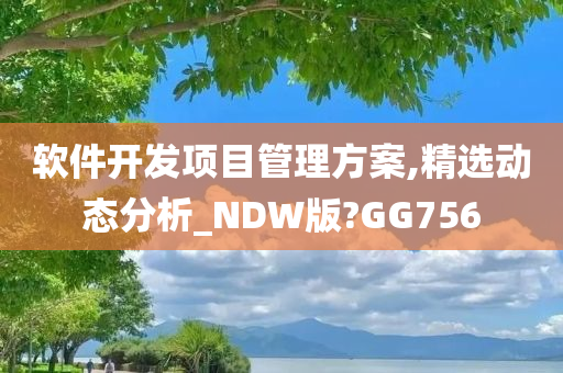 软件开发项目管理方案,精选动态分析_NDW版?GG756