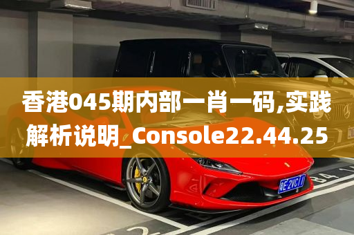 香港045期内部一肖一码,实践解析说明_Console22.44.25