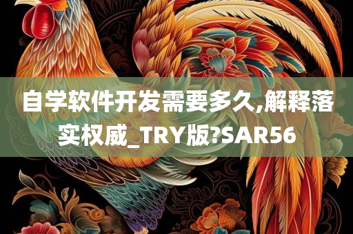 自学软件开发需要多久,解释落实权威_TRY版?SAR56