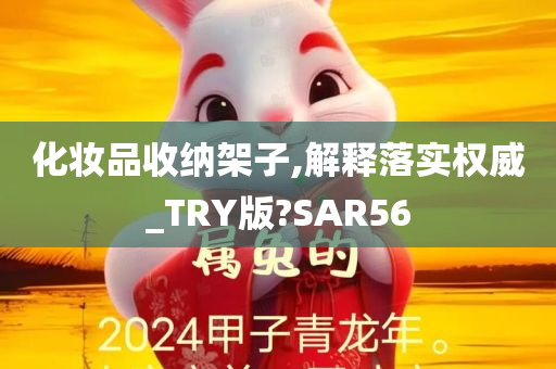 化妆品收纳架子,解释落实权威_TRY版?SAR56