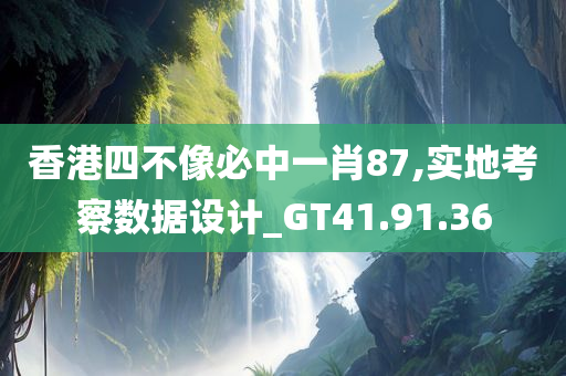 香港四不像必中一肖87,实地考察数据设计_GT41.91.36