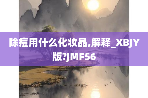 除痘用什么化妆品,解释_XBJY版?JMF56