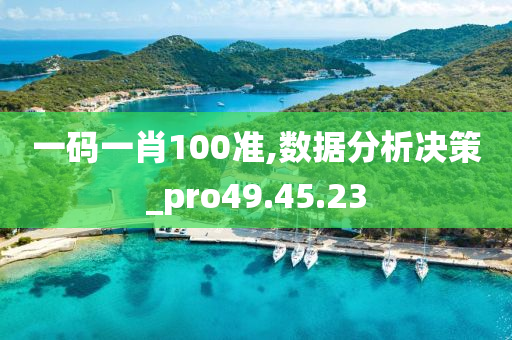 一码一肖100准,数据分析决策_pro49.45.23