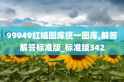 99949红姐图库统一图库,解答解答标准版_标准版342