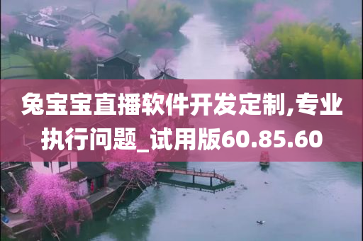 兔宝宝直播软件开发定制,专业执行问题_试用版60.85.60