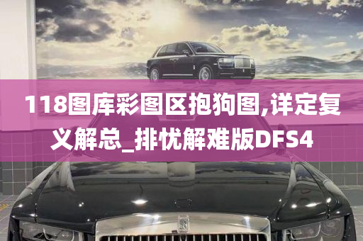 118图库彩图区抱狗图,详定复义解总_排忧解难版DFS4