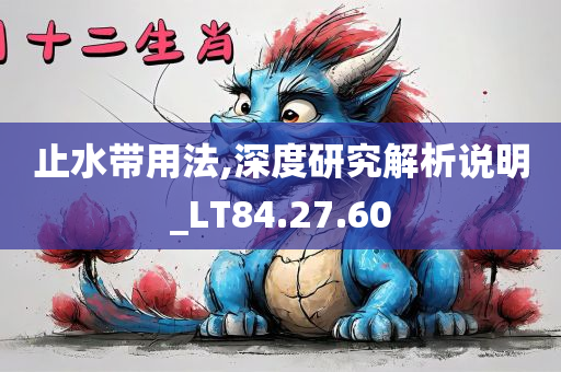 止水带用法,深度研究解析说明_LT84.27.60