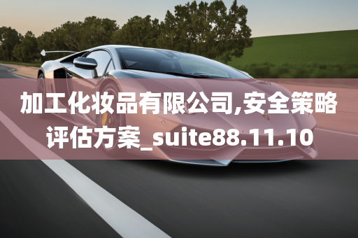 加工化妆品有限公司,安全策略评估方案_suite88.11.10