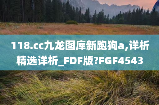 118.cc九龙图库新跑狗a,详析精选详析_FDF版?FGF4543