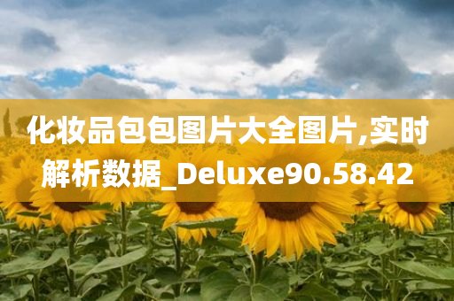 化妆品包包图片大全图片,实时解析数据_Deluxe90.58.42