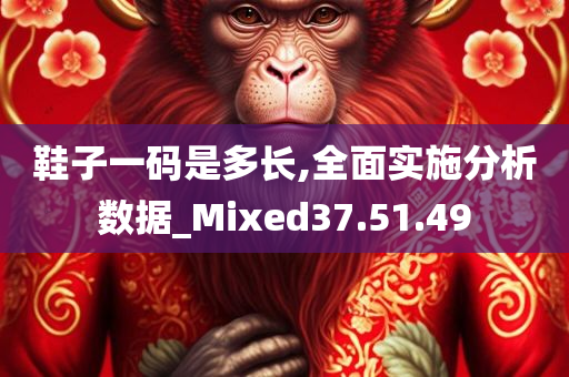 鞋子一码是多长,全面实施分析数据_Mixed37.51.49