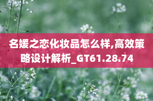 名媛之恋化妆品怎么样,高效策略设计解析_GT61.28.74