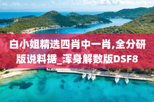 白小姐精选四肖中一肖,全分研版说料据_浑身解数版DSF8