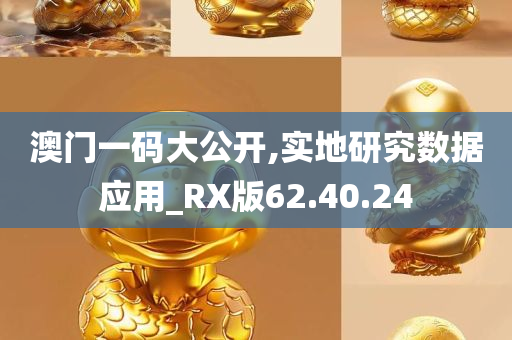 澳门一码大公开,实地研究数据应用_RX版62.40.24