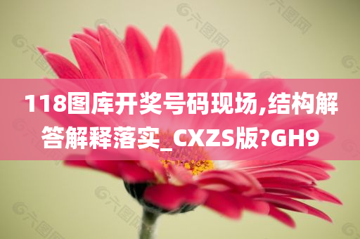 118图库开奖号码现场,结构解答解释落实_CXZS版?GH9