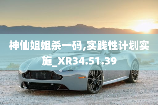 神仙姐姐杀一码,实践性计划实施_XR34.51.39