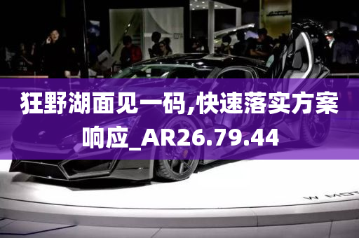 狂野湖面见一码,快速落实方案响应_AR26.79.44