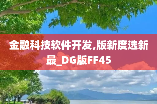 金融科技软件开发,版新度选新最_DG版FF45