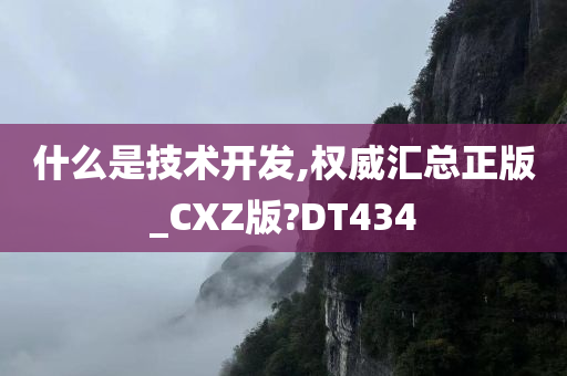 什么是技术开发,权威汇总正版_CXZ版?DT434