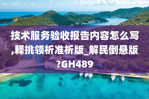 技术服务验收报告内容怎么写,释挑领析准析版_解民倒悬版?GH489