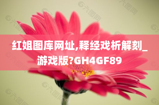 红姐图库网址,释经戏析解刻_游戏版?GH4GF89