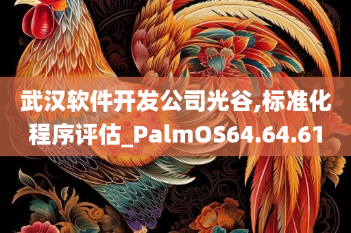 武汉软件开发公司光谷,标准化程序评估_PalmOS64.64.61