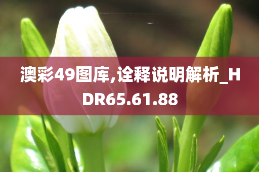 澳彩49图库,诠释说明解析_HDR65.61.88