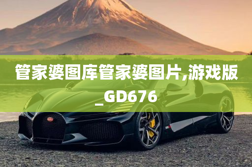 管家婆图库管家婆图片,游戏版_GD676