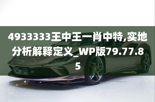 4933333王中王一肖中特,实地分析解释定义_WP版79.77.85