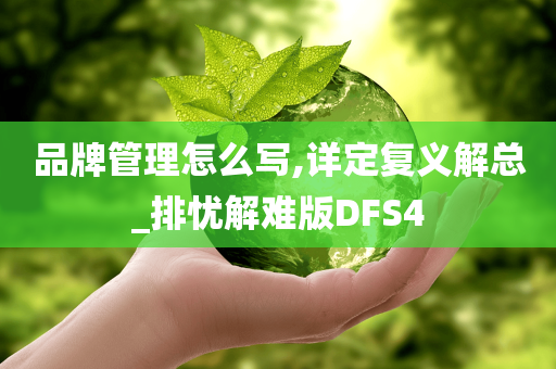 品牌管理怎么写,详定复义解总_排忧解难版DFS4