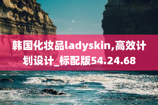 韩国化妆品ladyskin,高效计划设计_标配版54.24.68