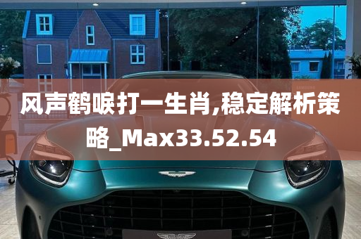 风声鹤唳打一生肖,稳定解析策略_Max33.52.54