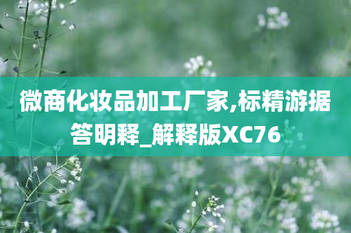 微商化妆品加工厂家,标精游据答明释_解释版XC76