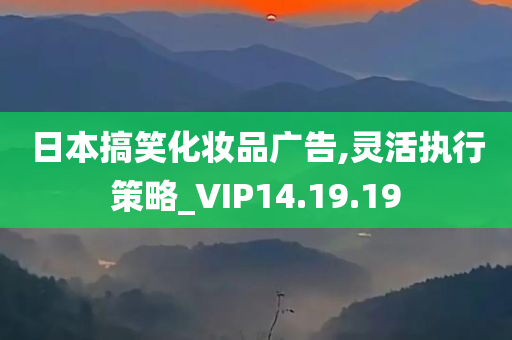 日本搞笑化妆品广告,灵活执行策略_VIP14.19.19