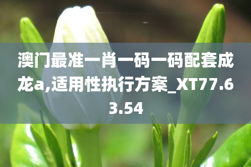 澳门最准一肖一码一码配套成龙a,适用性执行方案_XT77.63.54