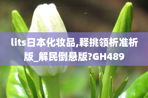 lits日本化妆品,释挑领析准析版_解民倒悬版?GH489