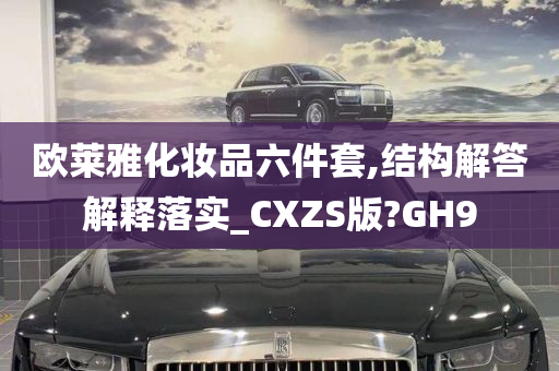 欧莱雅化妆品六件套,结构解答解释落实_CXZS版?GH9