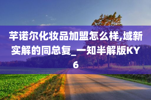 芊诺尔化妆品加盟怎么样,域新实解的同总复_一知半解版KY6