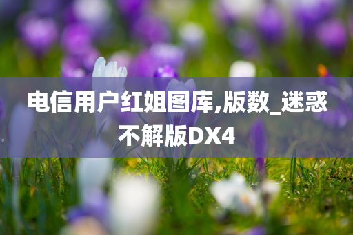 电信用户红姐图库,版数_迷惑不解版DX4