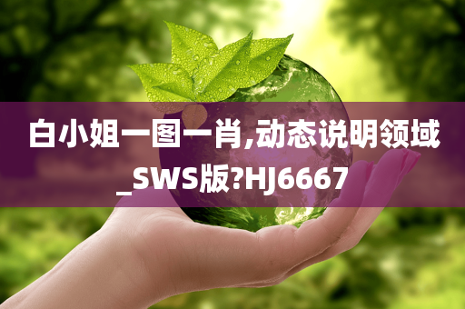 白小姐一图一肖,动态说明领域_SWS版?HJ6667